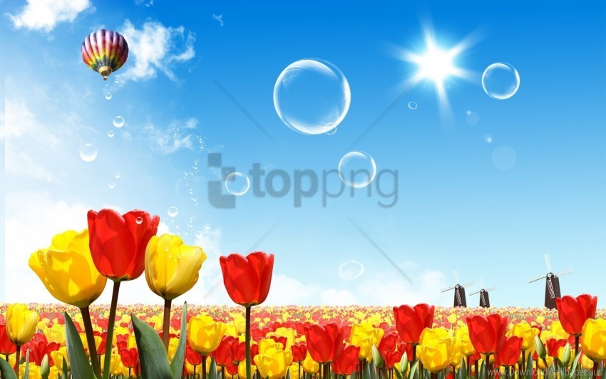 hot air balloon sky sun tulips wallpaper PNG files with transparent canvas extensive assortment