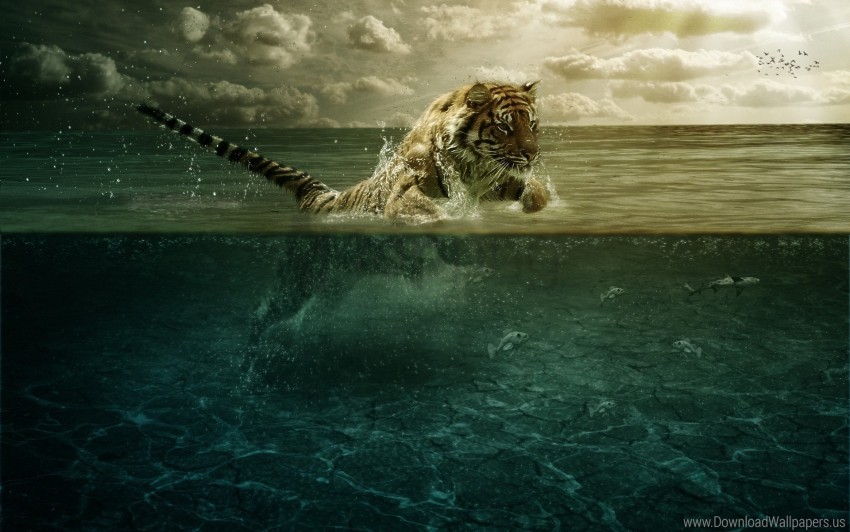 hunting jump sea tiger underwater wallpaper PNG files with alpha channel