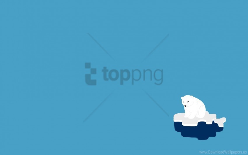 ice minimalism polar bear wallpaper PNG images without restrictions