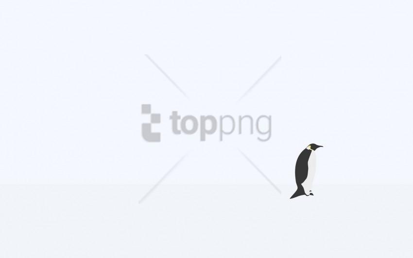 minimalism penguin snow wallpaper PNG images with no royalties