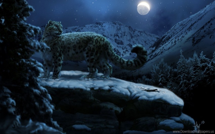 moon snow leopards winter wallpaper PNG images with no watermark