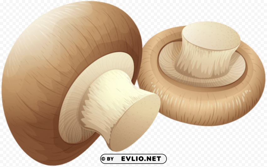mushrooms PNG with transparent background for free