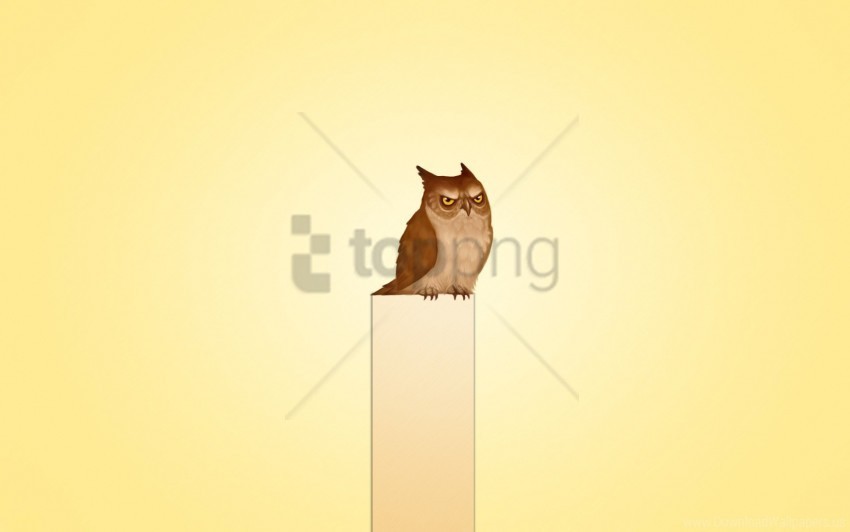 Owl Picture Post View Wallpaper PNG Graphics For Free