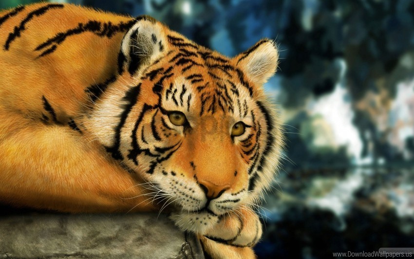 painting tiger wallpaper Transparent PNG images database