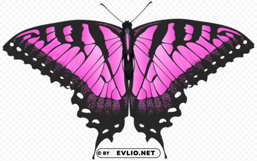 Pink Butterfly Transparent PNG Isolated Graphic Design