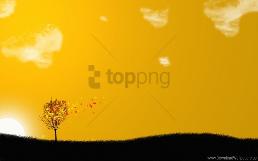 Pleasant Wallpaper Transparent PNG Stock Photos