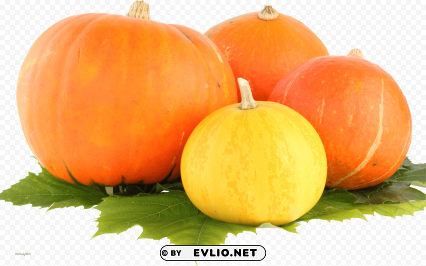 pumpkin ClearCut Background Isolated PNG Graphic Element
