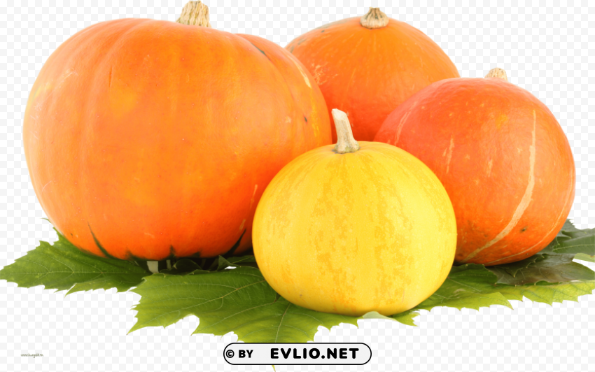 Pumpkin ClearCut Background Isolated PNG Graphic Element