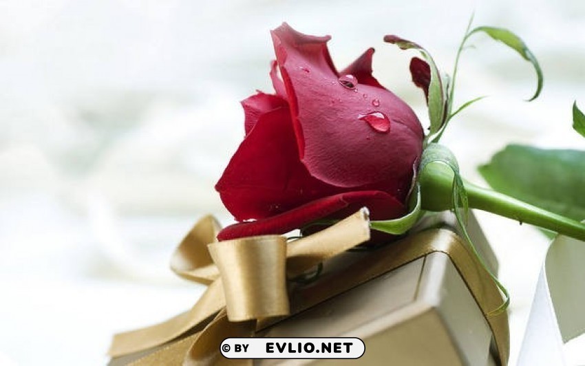 red rose and gold gift PNG files with alpha channel