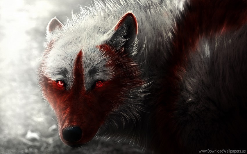 Scary Wolf Wallpaper PNG Graphic With Clear Isolation