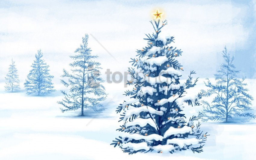 snow spruce star wallpaper PNG Image with Clear Isolated Object