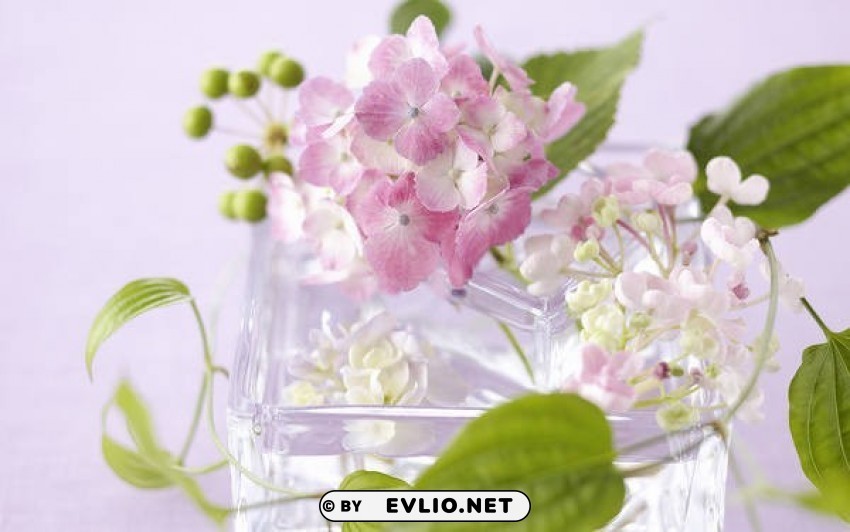 soft pinkwith flowers Clear Background PNG Isolated Illustration