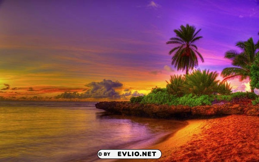 summer exotic beach HighResolution PNG Isolated Artwork