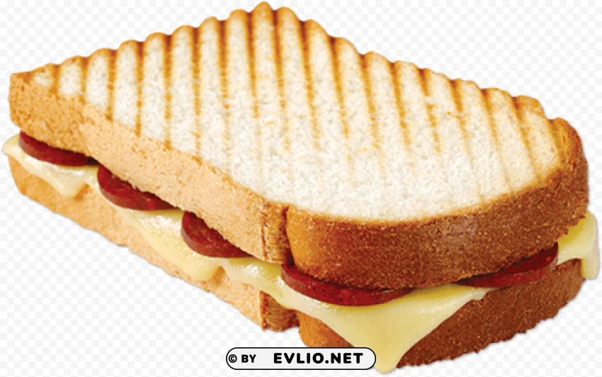 toast PNG Isolated Illustration with Clarity