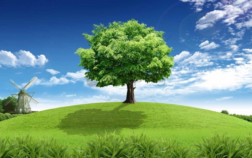 Trees Background Image PNG Graphics For Free