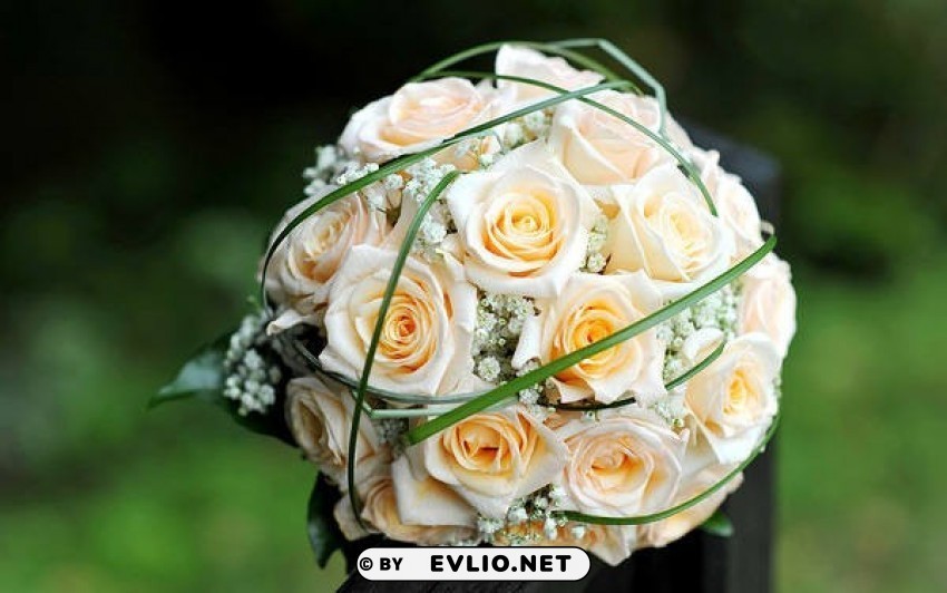 White Bouquet Wallpaper HighResolution Transparent PNG Isolated Element