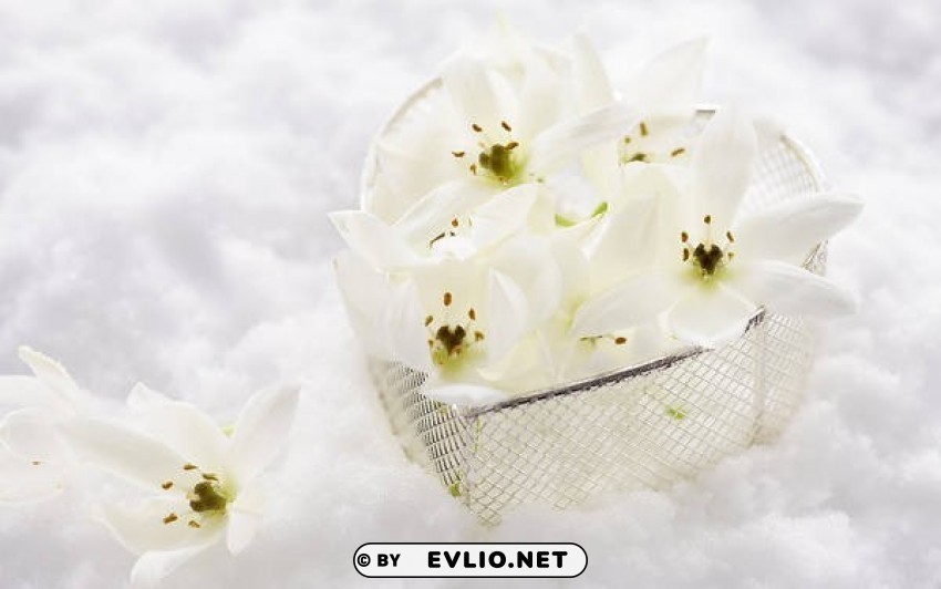 whitewith flowers and heart basket Transparent PNG Isolated Subject