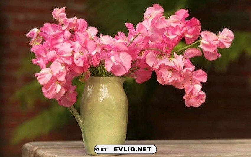 with vase and pink flowers Transparent PNG Isolated Subject Matter