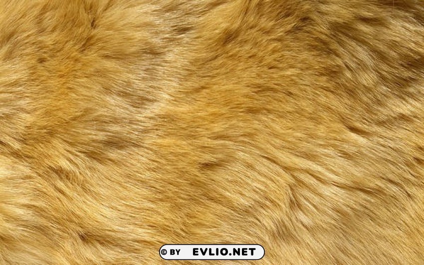 yellow fur Clear Background PNG Isolated Item