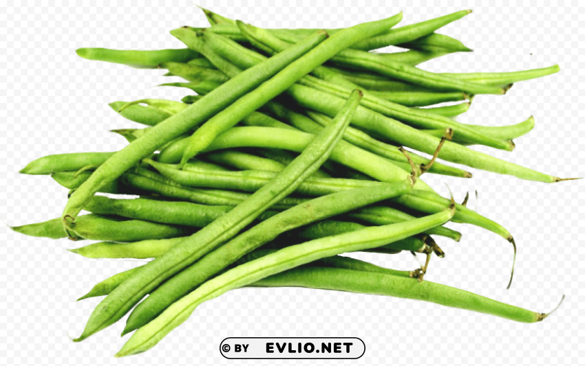 green beans PNG Image with Transparent Isolated Design