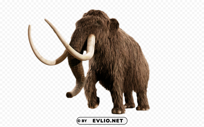mammoth Isolated Design Element in HighQuality Transparent PNG
