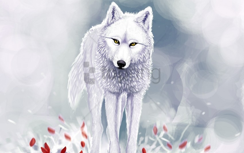 red flowers snow white wolf winter wallpaper PNG Image with Transparent Isolated Graphic Element