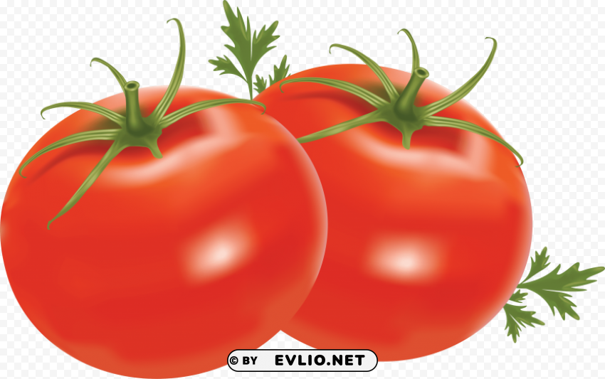 red tomatoes Isolated Element with Transparent PNG Background