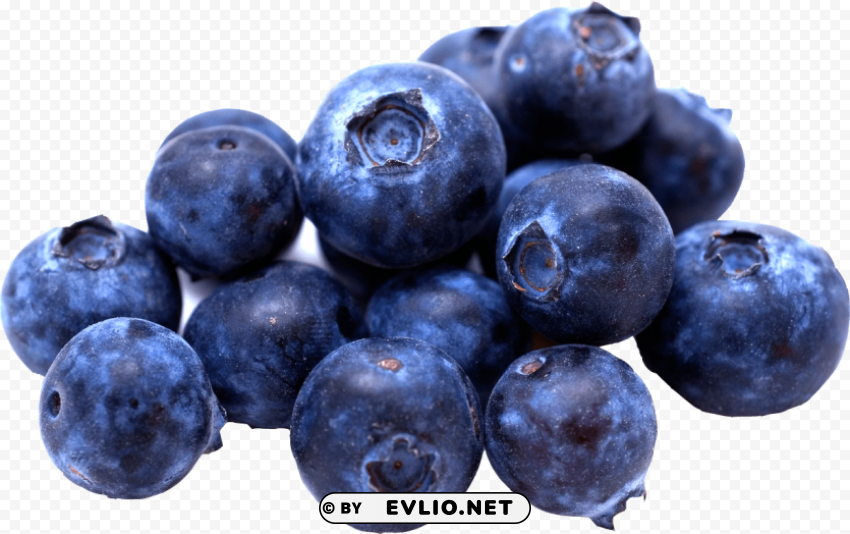 blueberries Clear Background PNG with Isolation