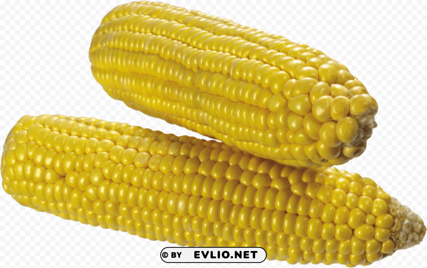 corn Clear PNG pictures compilation