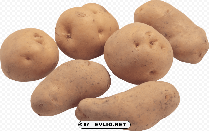 potato Isolated Object on Transparent PNG