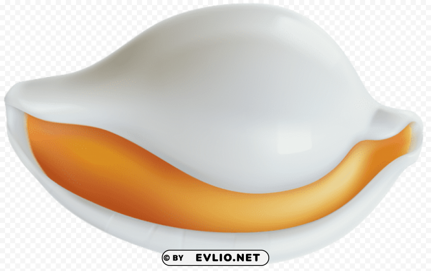 clam Transparent PNG images with high resolution