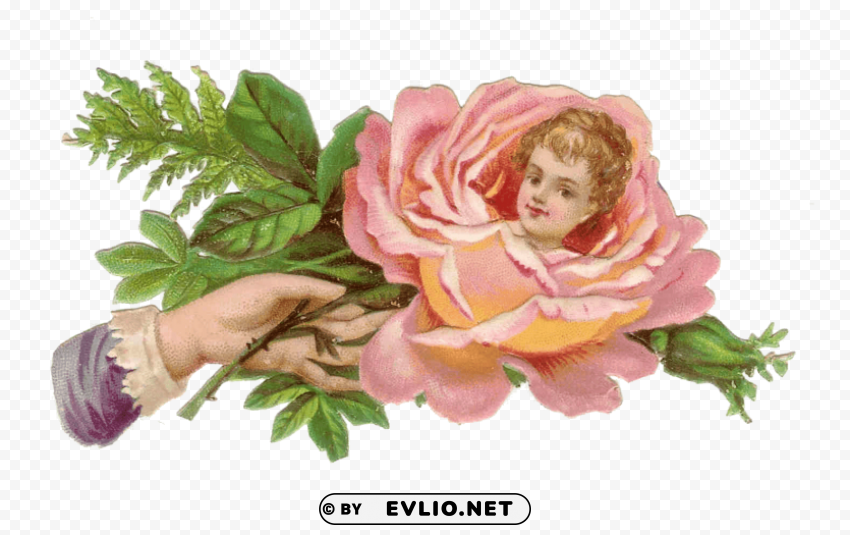 flower child victorian hand Clean Background Isolated PNG Illustration