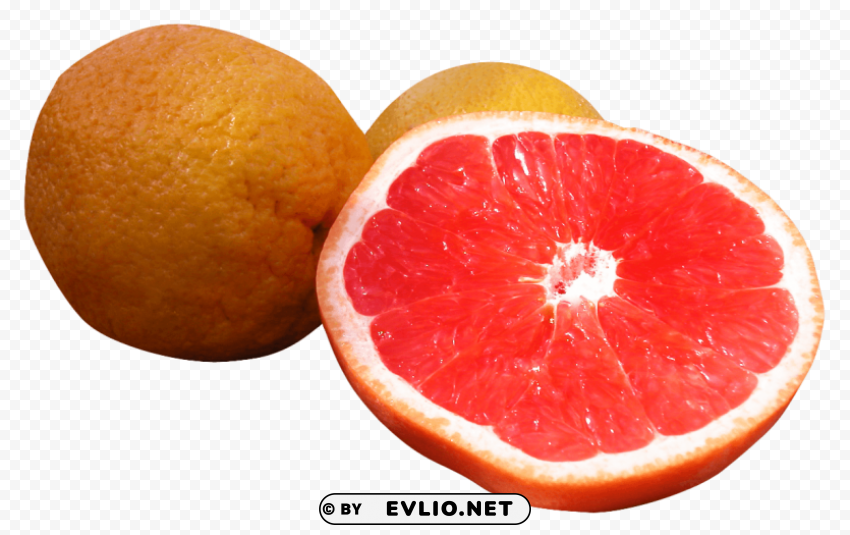 Grapefruit PNG For Educational Projects