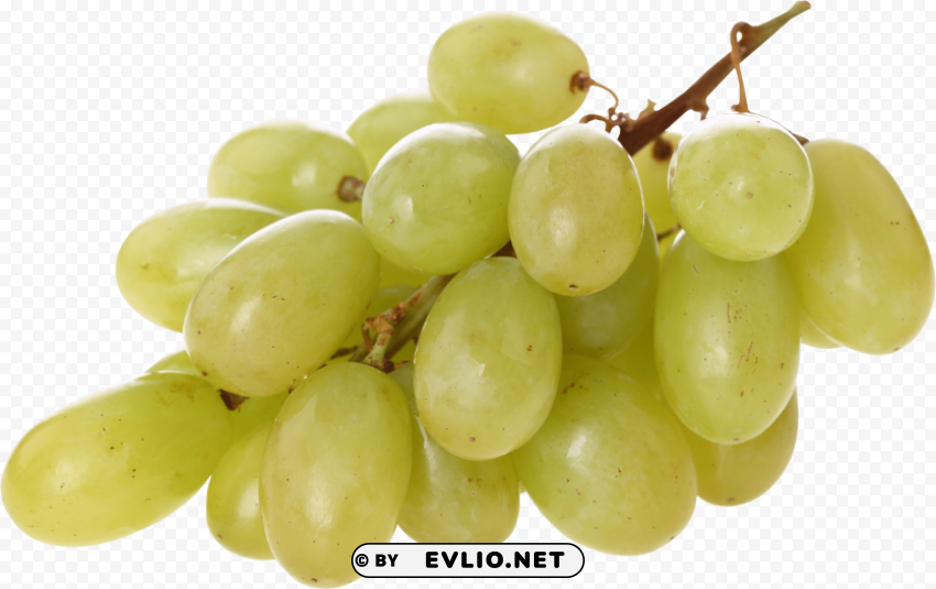 green grapes Transparent background PNG images complete pack