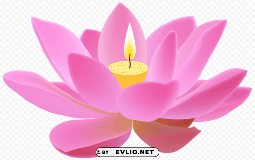 lotus candle free PNG for blog use