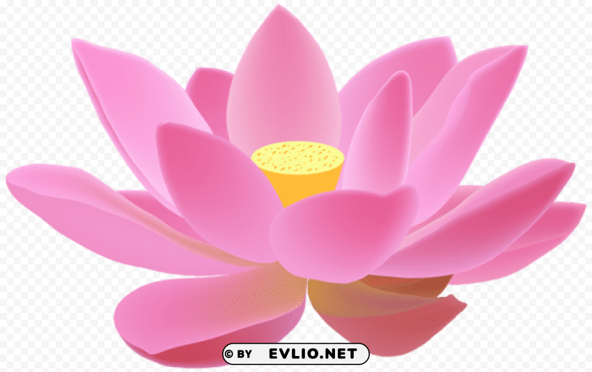 PNG image of lotus free PNG Image Isolated with Clear Transparency with a clear background - Image ID da13e62e