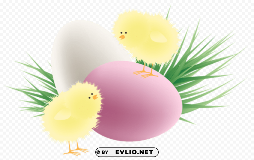  easter chickens eggs and grasspicture Transparent PNG images bulk package