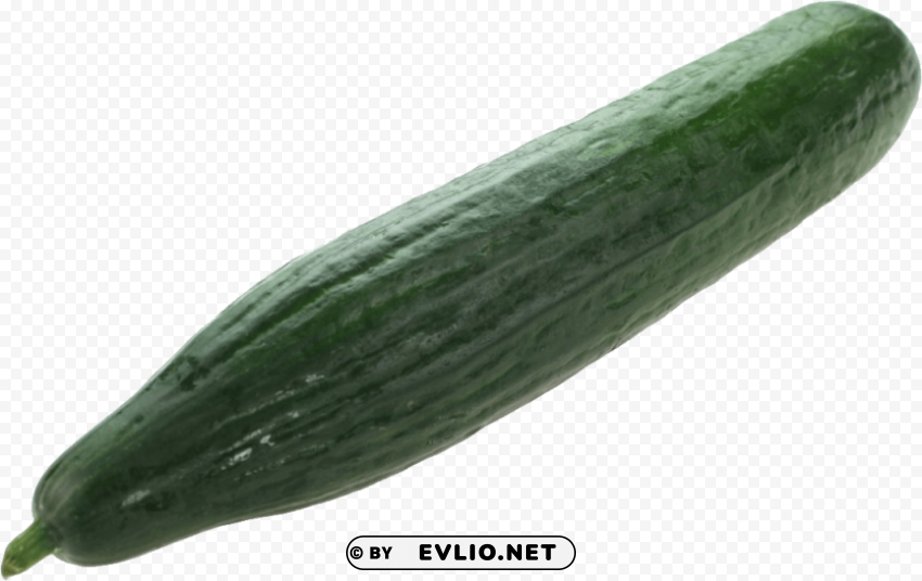 cucumber Alpha channel transparent PNG PNG images with transparent backgrounds - Image ID 2f3ba36f