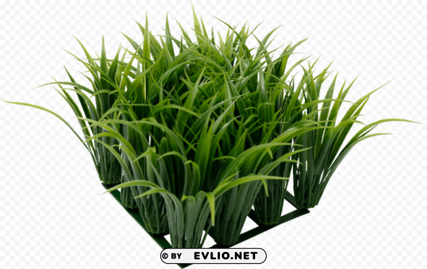 fluval chi grass aquarium ornament Isolated Design Element in PNG Format PNG transparent with Clear Background ID 1487894a