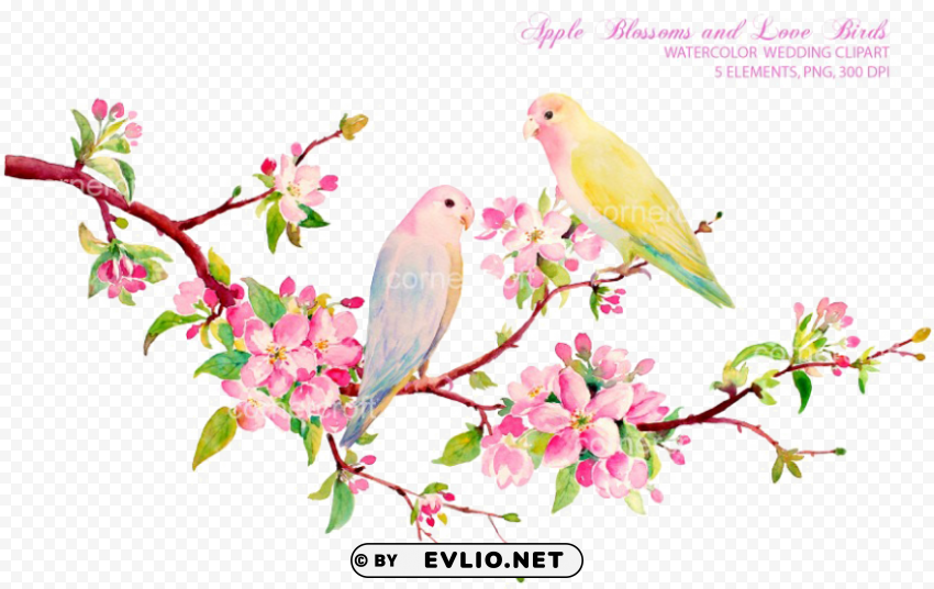 spring flowers watercolor Free PNG images with alpha channel