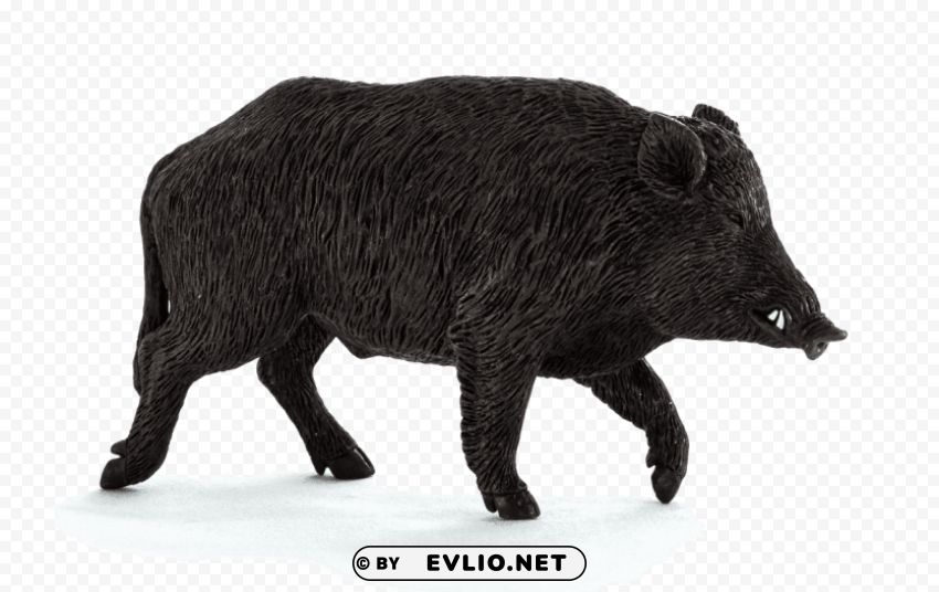 wild boar Clear PNG graphics