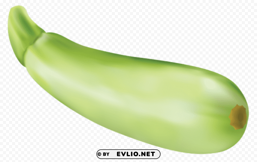 zucchini vector Free PNG download