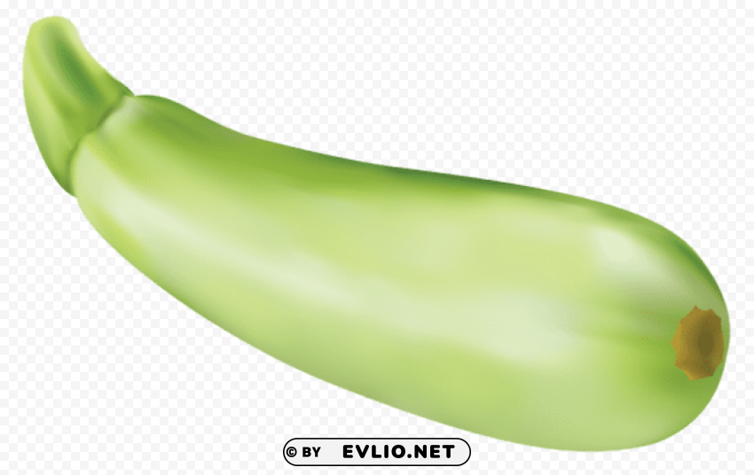 Zucchini Vector Free PNG Download