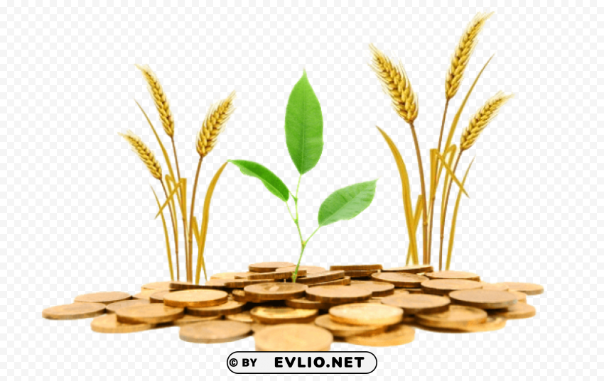 agriculture PNG with no background for free