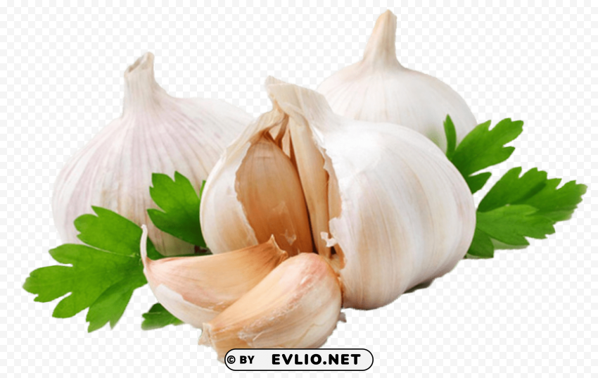 garlic Transparent PNG Isolated Object Design