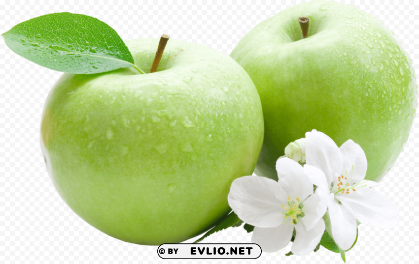 green apple Isolated Icon on Transparent PNG png - Free PNG Images ID f40783b8