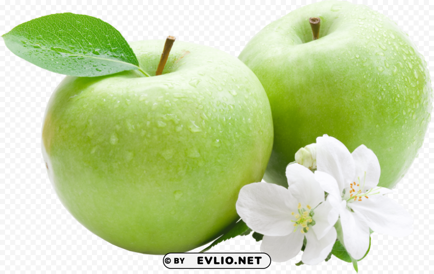 green apple's PNG for design PNG images with transparent backgrounds - Image ID 2533e7de