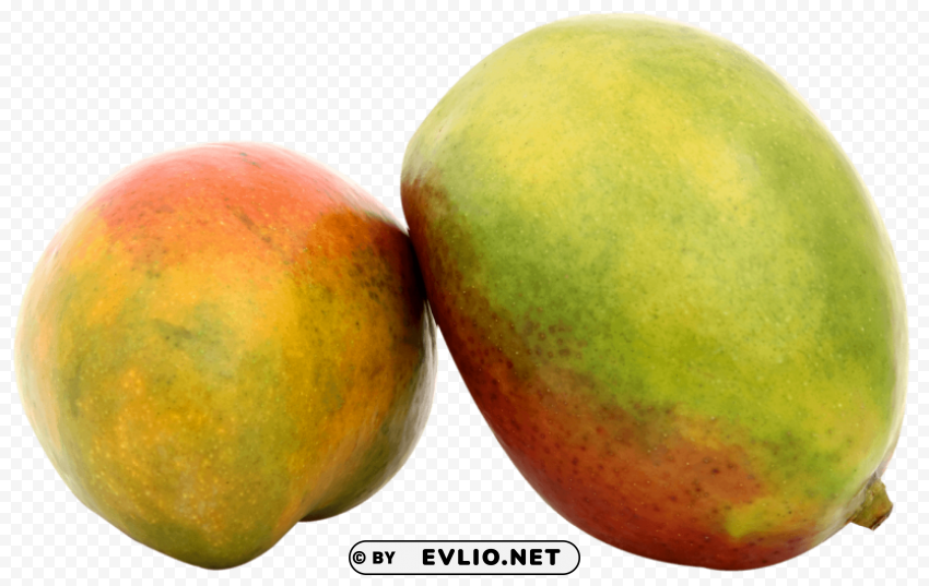 Mango PNG Image with Isolated Graphic