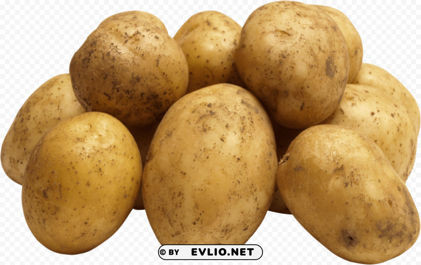 potato Transparent background PNG images comprehensive collection