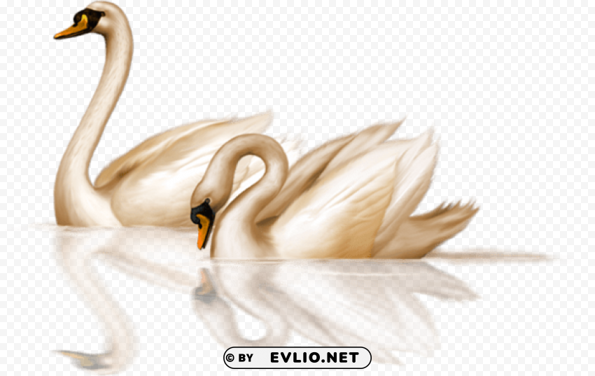 two bronze swans clip-art Clear image PNG